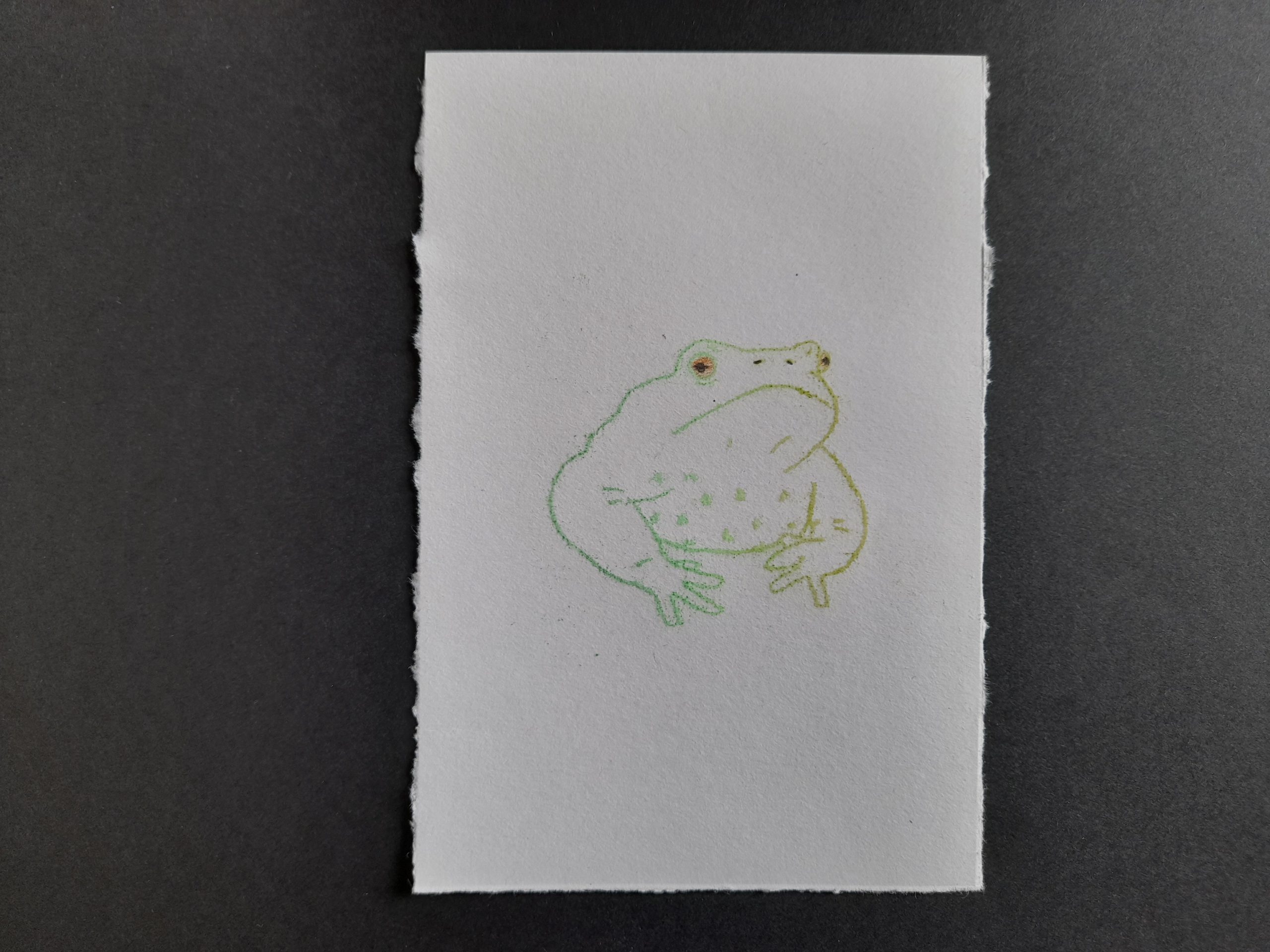 Frog Mono Prints