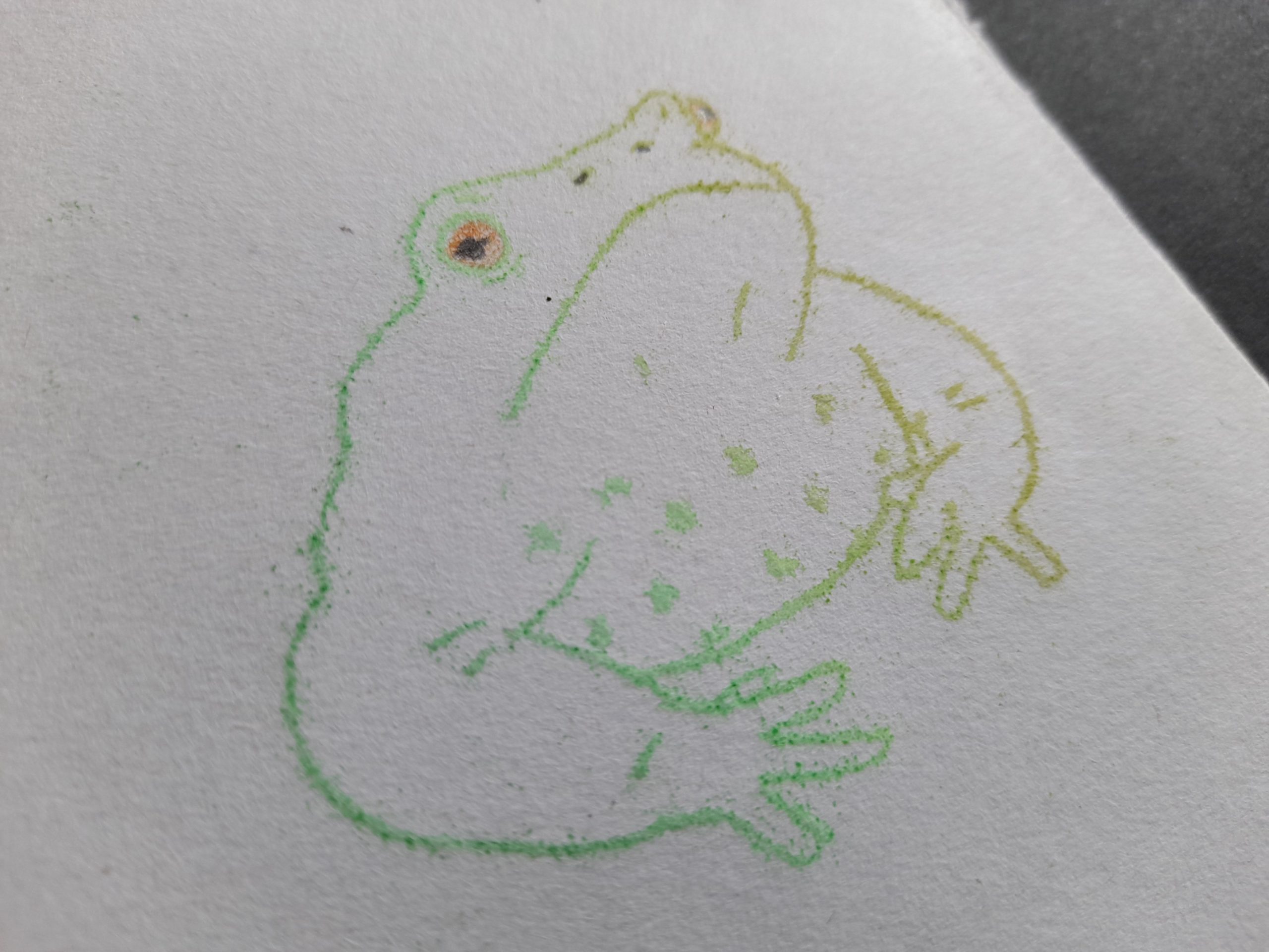 Frog Mono Prints - Image 2