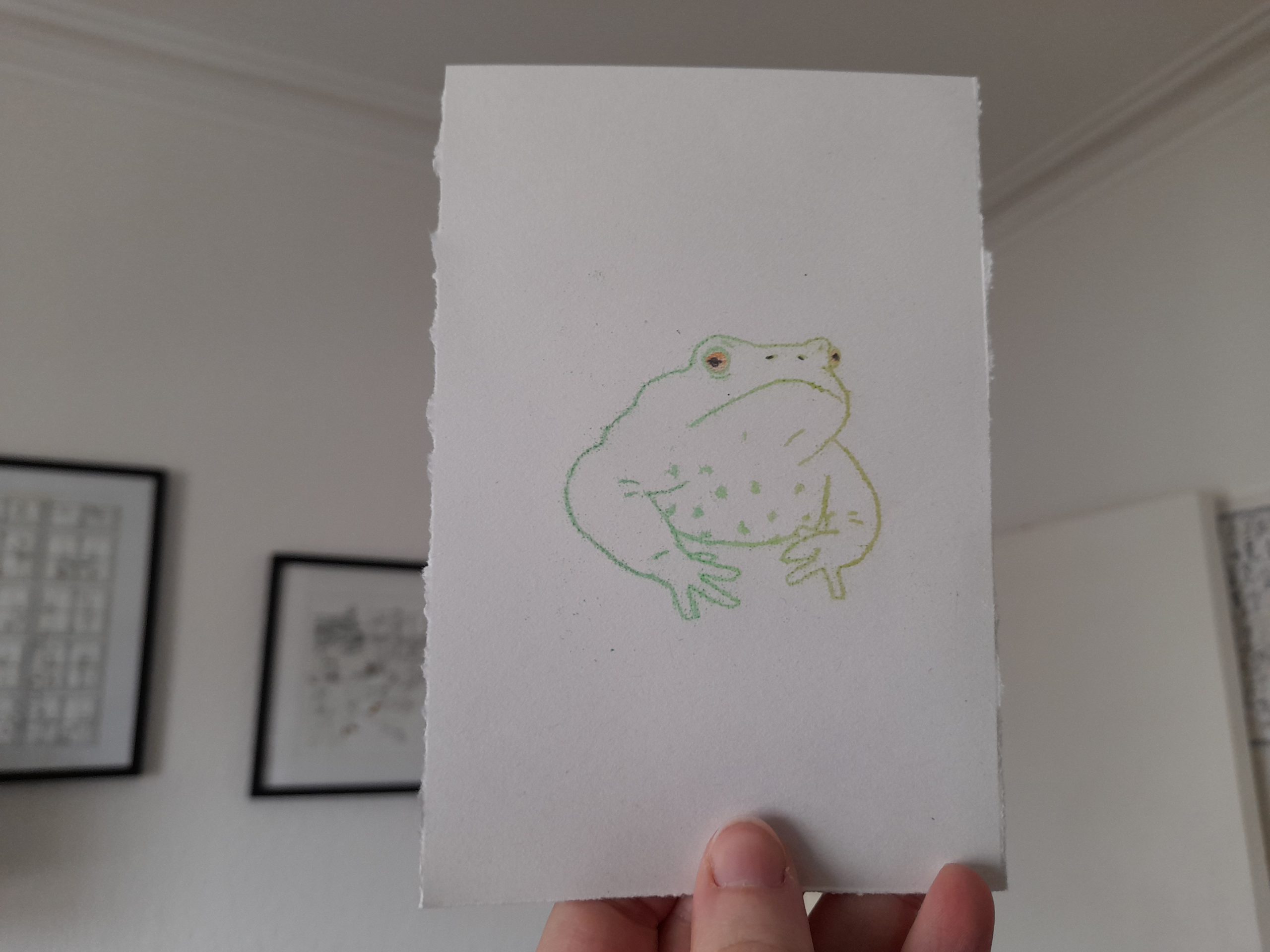 Frog Mono Prints - Image 3