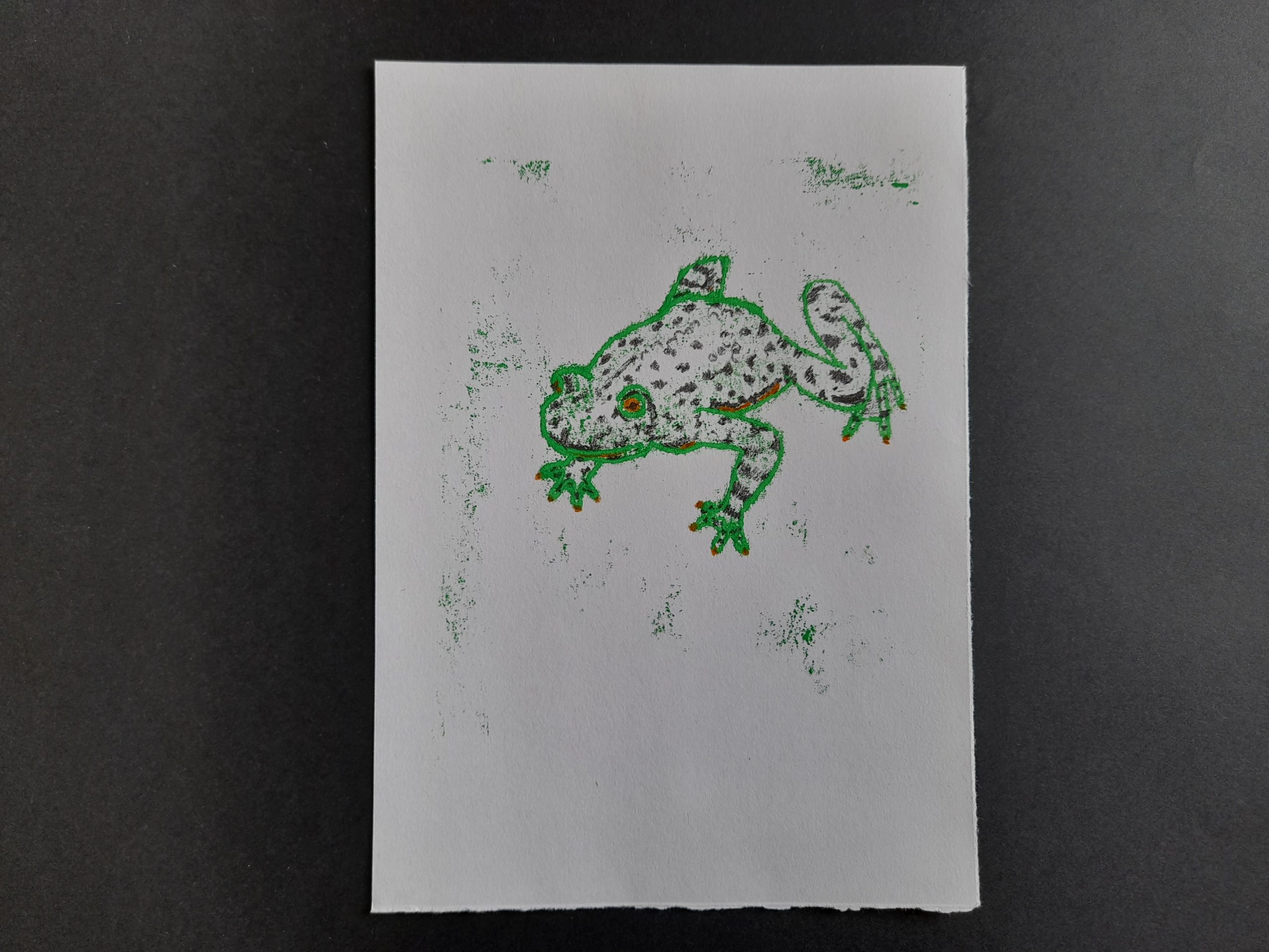 Frog Mono Prints - Image 6