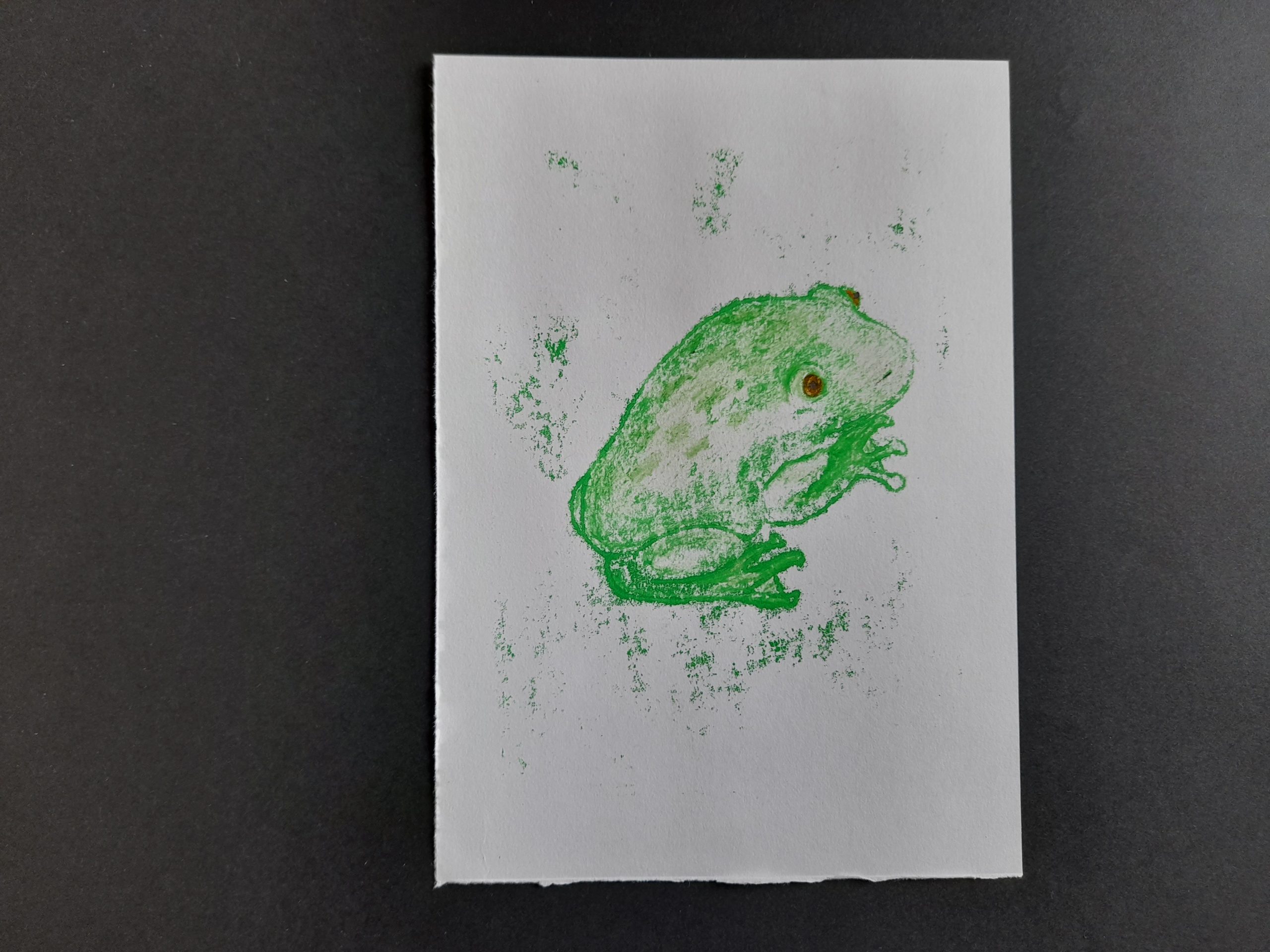 Frog Mono Prints - Image 8