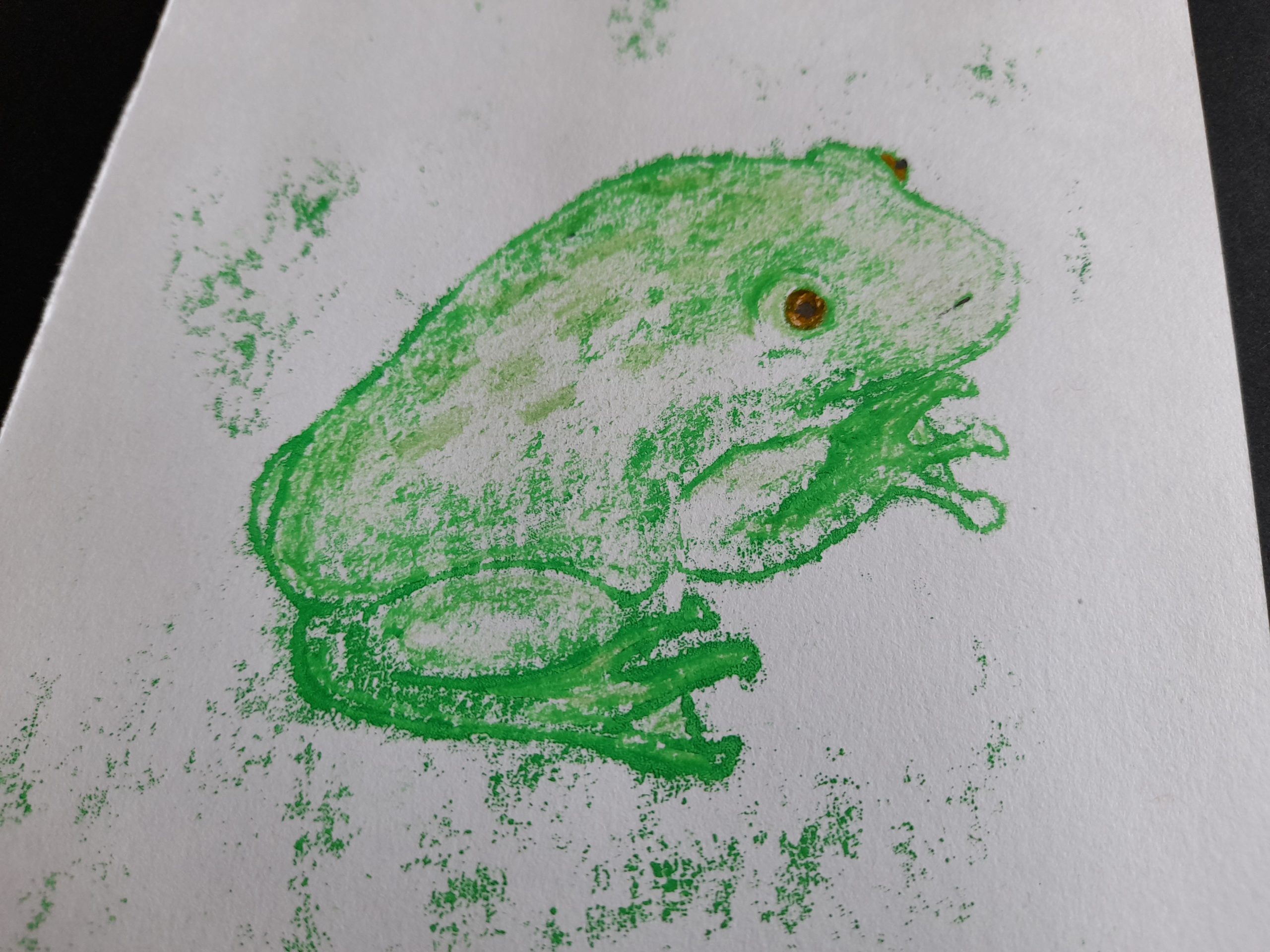 Frog Mono Prints - Image 9