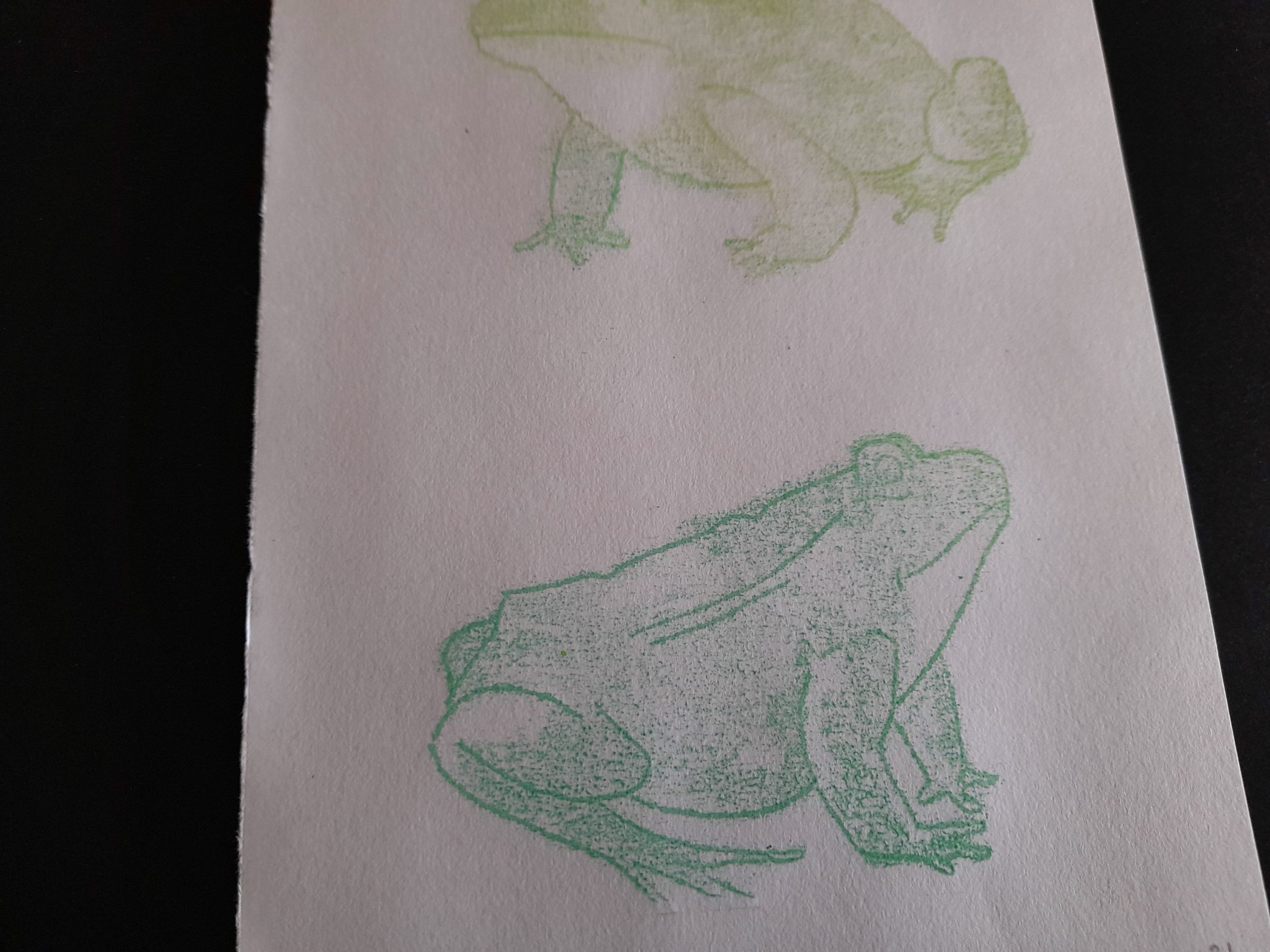 Frog Mono Prints - Image 12