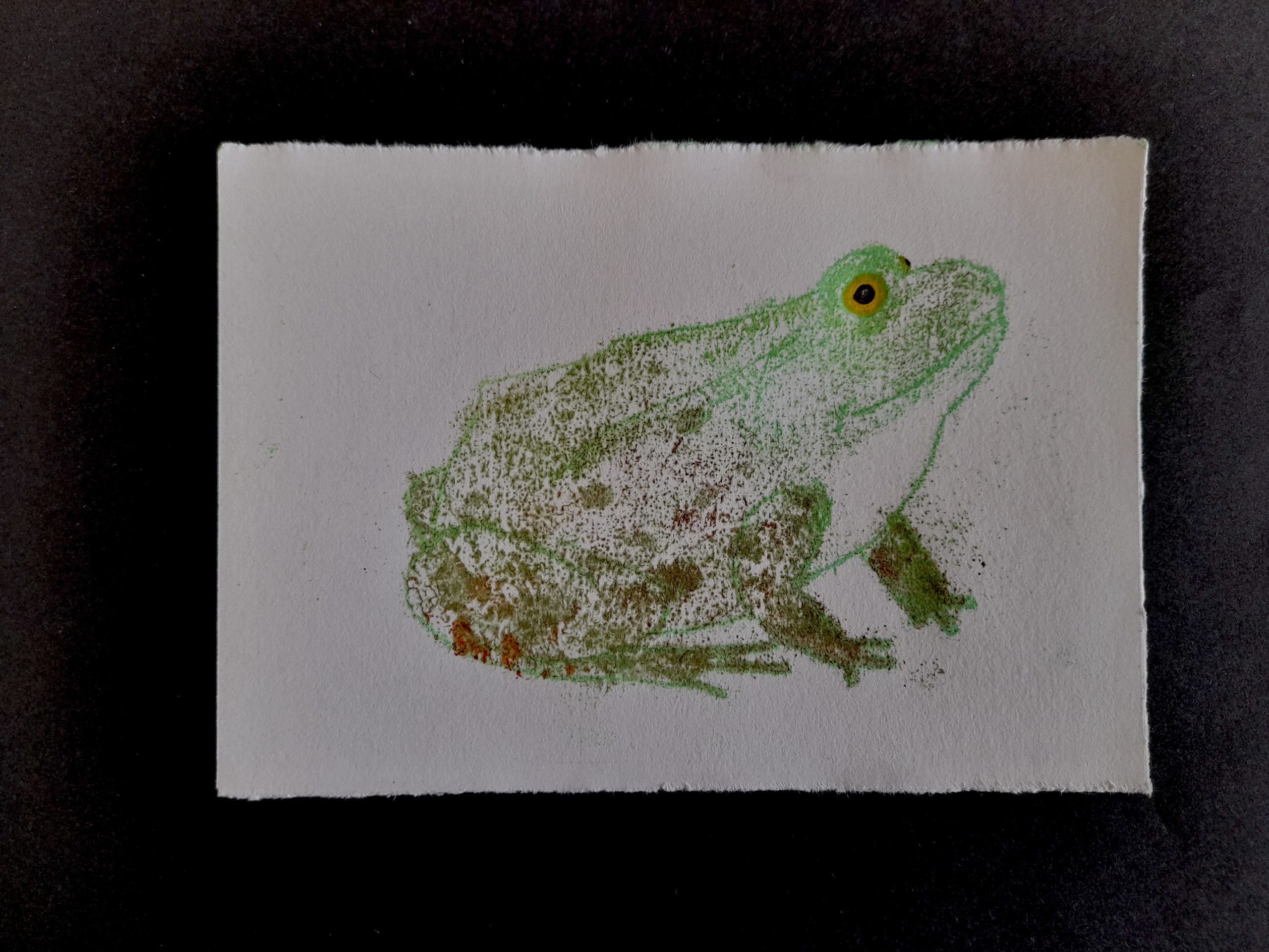 Frog Mono Prints - Image 4