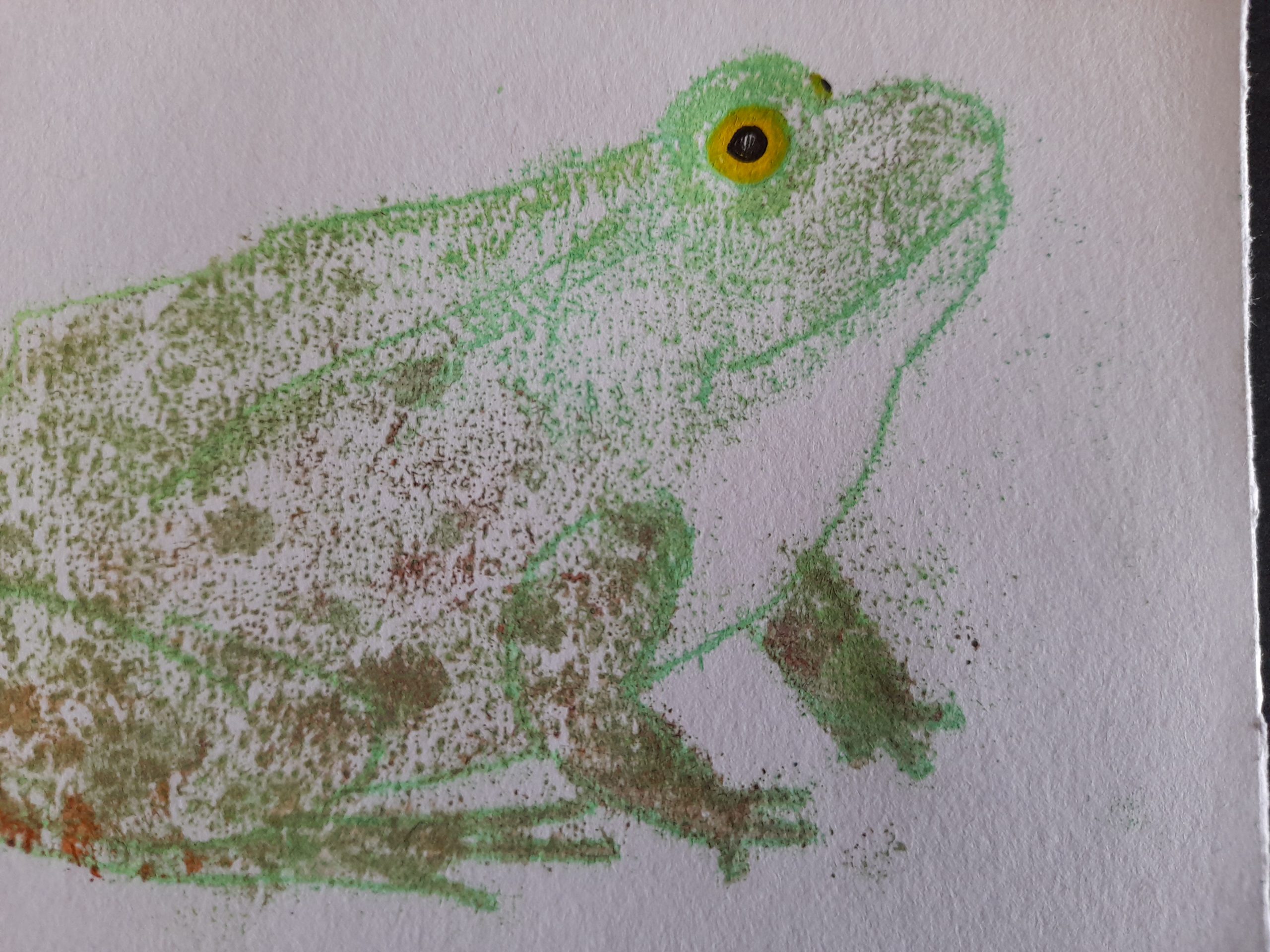 Frog Mono Prints - Image 5